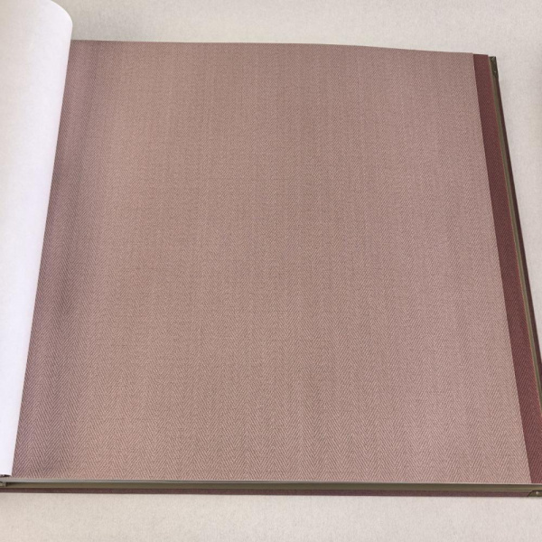 Alessandro Allori Bruni RBN 1002-20