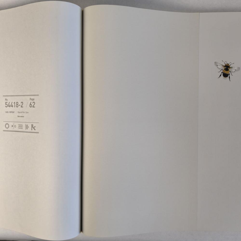 Andrea Rossi Cavolli 54418-3