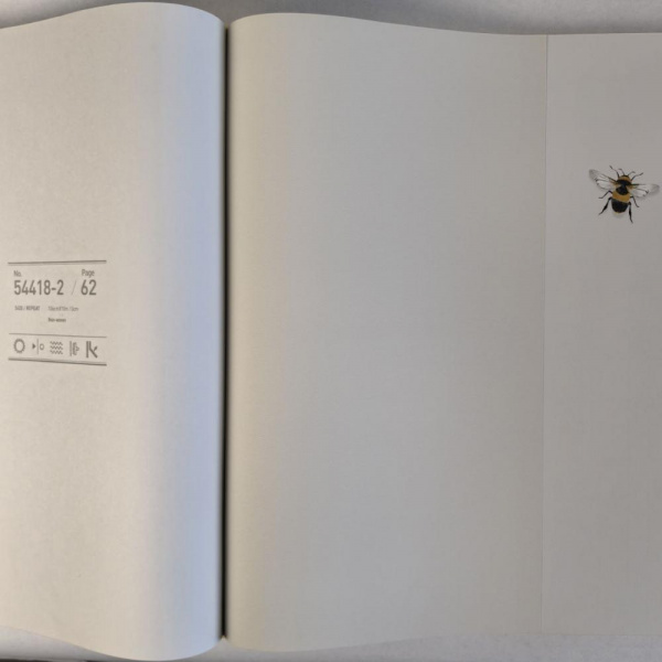 Andrea Rossi Cavolli 54418-3