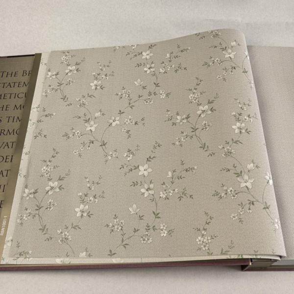 Alessandro Allori Bruni RBN 1001-2