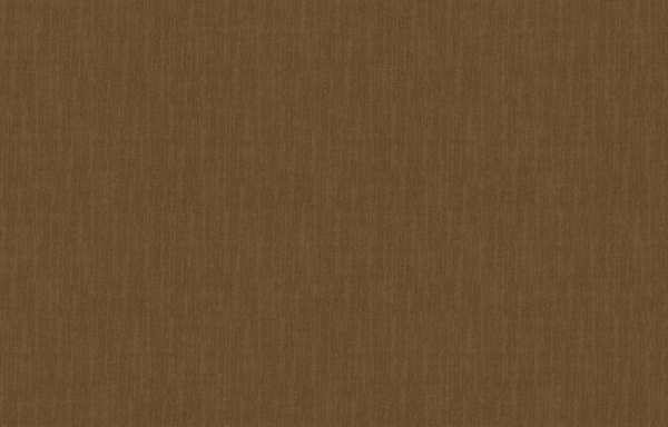 Loymina Shade SD2 010_2