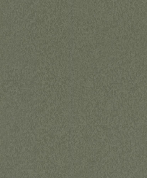 Rasch African Queen III 752687