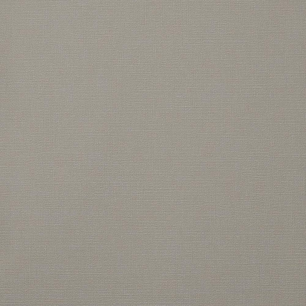 Andrea Rossi Berggi 54452-2