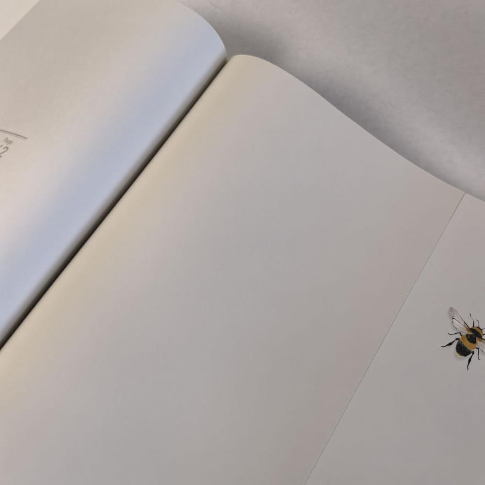 Andrea Rossi Cavolli 54418-3