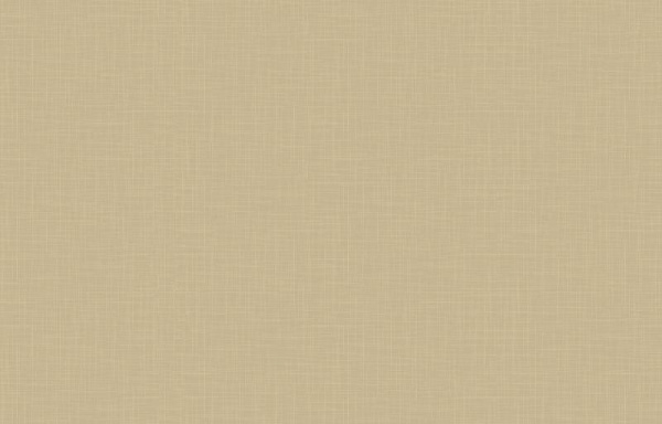 Loymina Origins ALS11 005_1