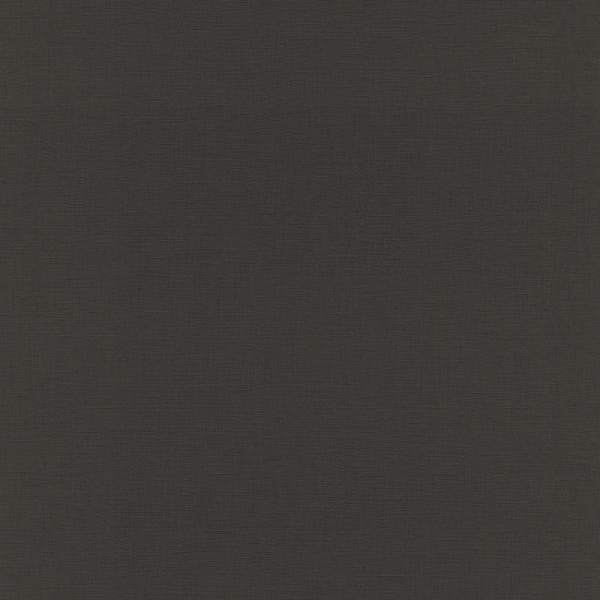 Salsa 531398